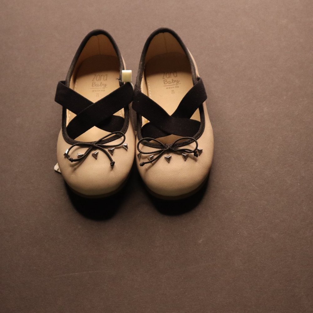 Zara Blush Pink & Black Ballerina